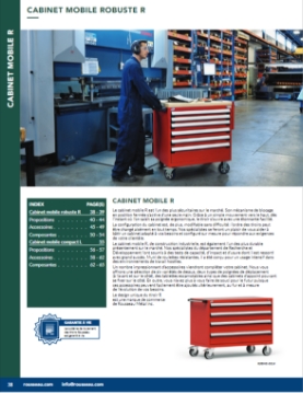 Cabinet-mobile-robuste-R