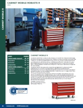 Cabinet mobile robuste R